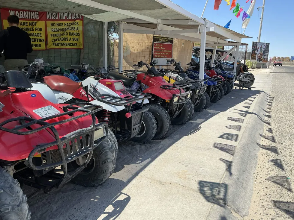 The La Palapa ATV rental lineup staged and ready to ride